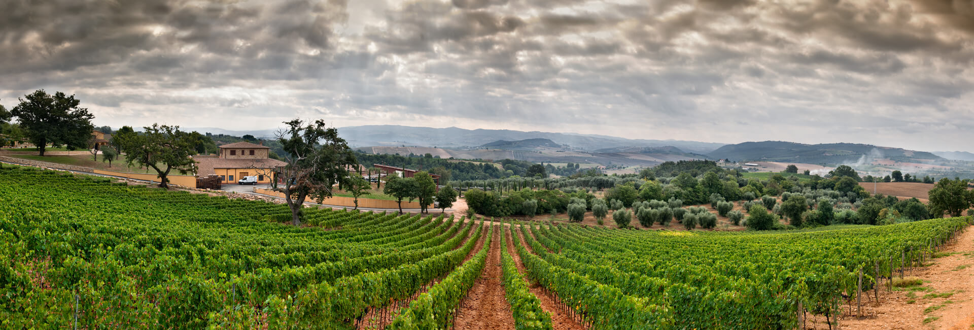 tuscany-wines-terenzi-scansano-maremma